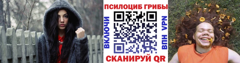 Купить  Новомосковск  Псилоцибиновые грибы GOLDEN TEACHER 